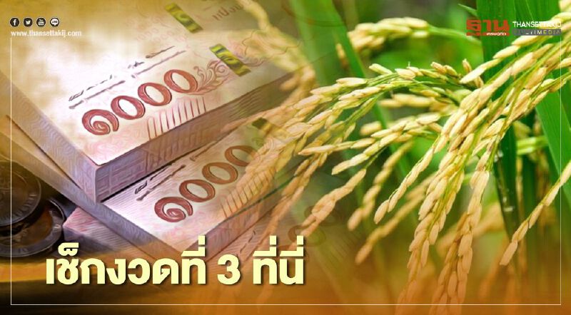 ตรวจสอบเงินประกันรายได้เกษตร จ่ายส่วนต่าง "ประกันราคาข้าว" งวด3  ล่าสุด