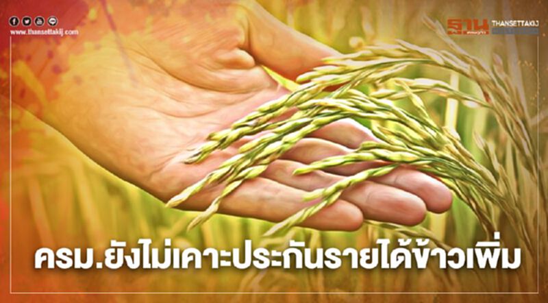 ตรวจสอบประกันรายได้ข้าวงวด2 ครม.ยังไม่อนุมัติวงเงินเพิ่ม 4.88 หมื่นล้าน ตรวจสอบประกันรายได้ข้าวงวด2 ครม.ยังไม่อนุมัติวงเงินเพิ่ม 4.88 หมื่นล้าน