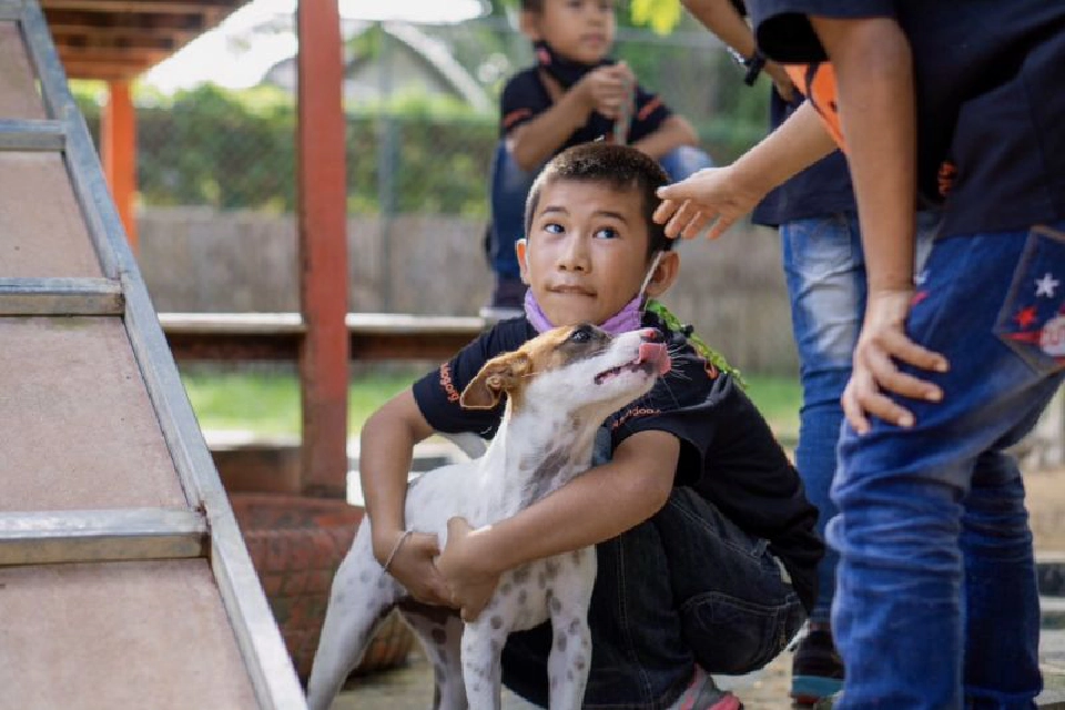  “ซอยด๊อก”ภูเก็ตเปิดศูนย์เรียนรู้สุนัขจรจัด