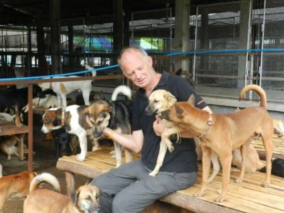  “ซอยด๊อก”ภูเก็ตเปิดศูนย์เรียนรู้สุนัขจรจัด