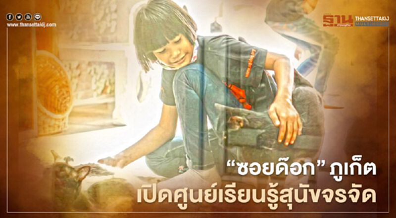 “ซอยด๊อก”ภูเก็ตเปิดศูนย์เรียนรู้สุนัขจรจัด “ซอยด๊อก”ภูเก็ตเปิดศูนย์เรียนรู้สุนัขจรจัด