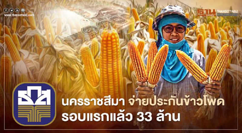 ธ.ก.ส.นครราชสีมา สรุปโอนเงินประกันรายได้เกษตรกรรอบที่หนึ่ง กว่า 33 ล้านบาท ธ.ก.ส.นครราชสีมา สรุปโอนเงินประกันรายได้เกษตรกรรอบที่หนึ่ง กว่า 33 ล้านบาท