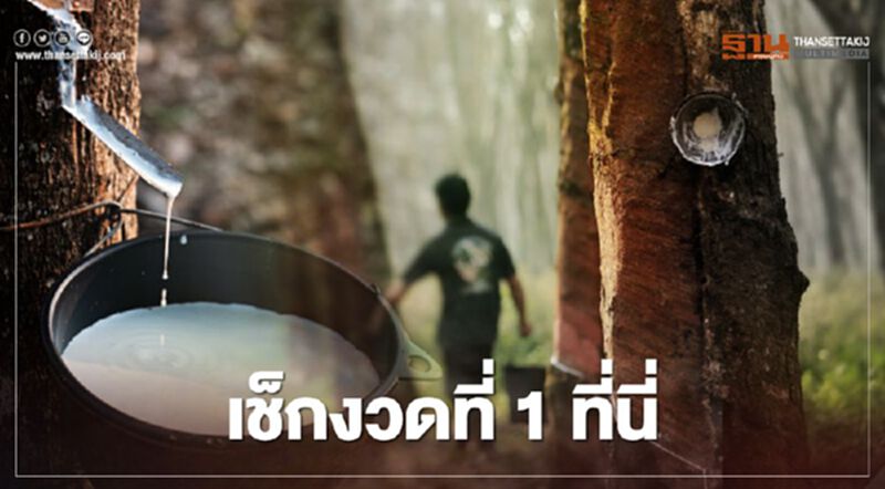 ตรวจสอบเงินประกันรายได้เกษตรกร จ่ายส่วนต่าง "ประกันราคายางพารา" งวด1 ล่าสุด ตรวจสอบเงินประกันรายได้เกษตรกร จ่ายส่วนต่าง "ประกันราคายางพารา" งวด1 ล่าสุด