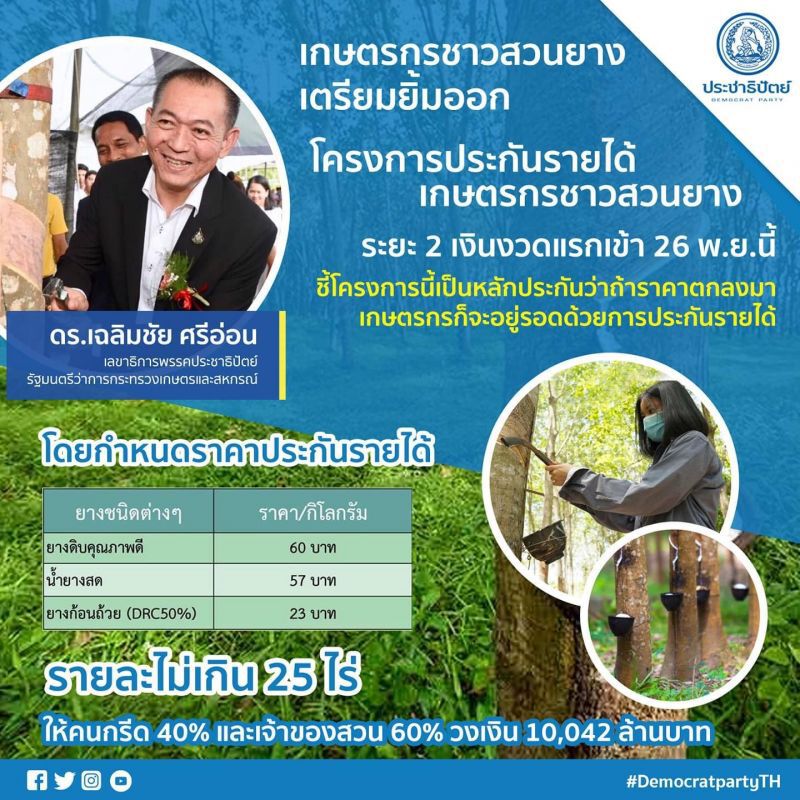 เงินประกันรายได้ชาวสวนยาง งวดแรกโอนเข้าวันที่ 26 พ.ย.รีบเช็กสิทธิด่วน