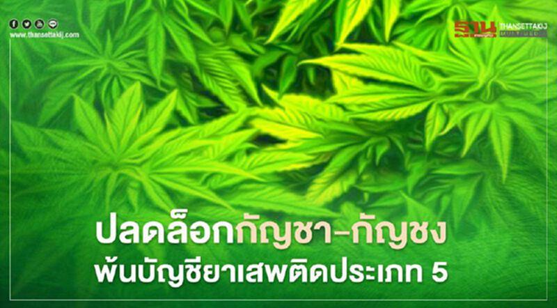 ปลดล็อก กัญชา-กัญชง พ้นบัญชียาเสพติดประเภท 5 ปลดล็อก กัญชา-กัญชง พ้นบัญชียาเสพติดประเภท 5