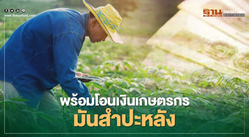 ธ.ก.ส.พร้อมโอนเงินประกันรายได้เกษตรกรผู้ปลูกมันสำปะหลัง ดีเดย์ 1ธ.ค. ธ.ก.ส.พร้อมโอนเงินประกันรายได้เกษตรกรผู้ปลูกมันสำปะหลัง ดีเดย์ 1ธ.ค.