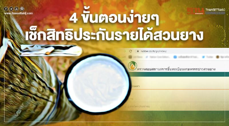 เช็กที่นี่เปิด 4 ขั้นตอนง่ายๆ ตรวจสอบเงินประกันรายได้สวนยางพารา เช็กที่นี่เปิด 4 ขั้นตอนง่ายๆ ตรวจสอบเงินประกันรายได้สวนยางพารา