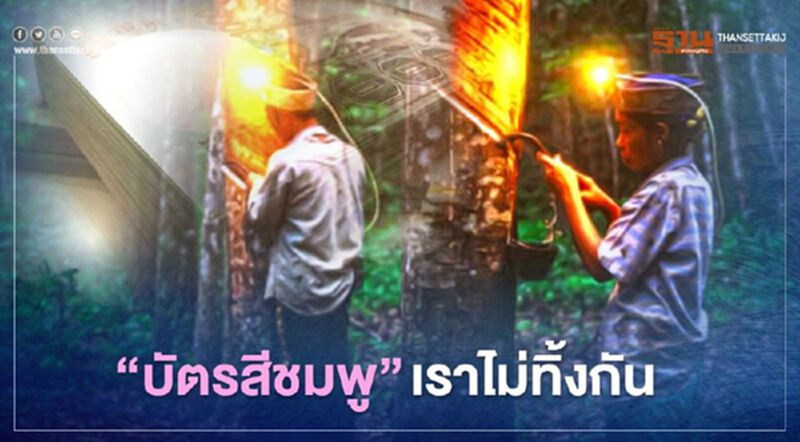 แกนนำเกษตรกร ลั่น เลื่อนจ่ายจนกว่า “บัตรสีชมพู” จะได้เข้าร่วม "ประกันรายได้ยางพารา" แกนนำเกษตรกร ลั่น เลื่อนจ่ายจนกว่า “บัตรสีชมพู” จะได้เข้าร่วม "ประกันรายได้ยางพารา"