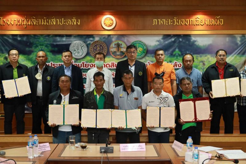  “พาณิชย์โคราช” MOU โรงแป้ง  ซื้อขายมันสำปะหลัง1.6แสนตัน