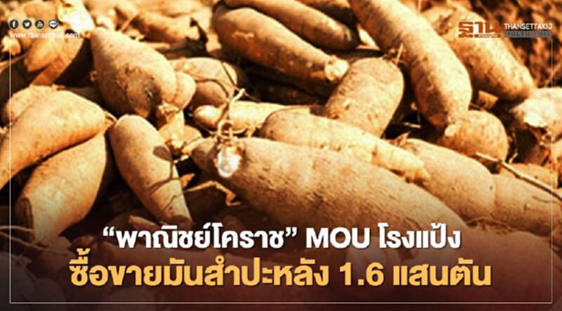 “พาณิชย์โคราช” MOU โรงแป้ง ซื้อขายมันสำปะหลัง1.6แสนตัน “พาณิชย์โคราช” MOU โรงแป้ง ซื้อขายมันสำปะหลัง1.6แสนตัน