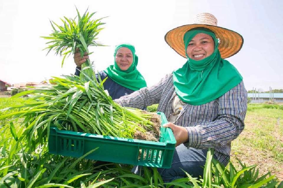 "เทสโก้ โลตัส" บรรลุเป้าหมายความยั่งยืนปี 2020