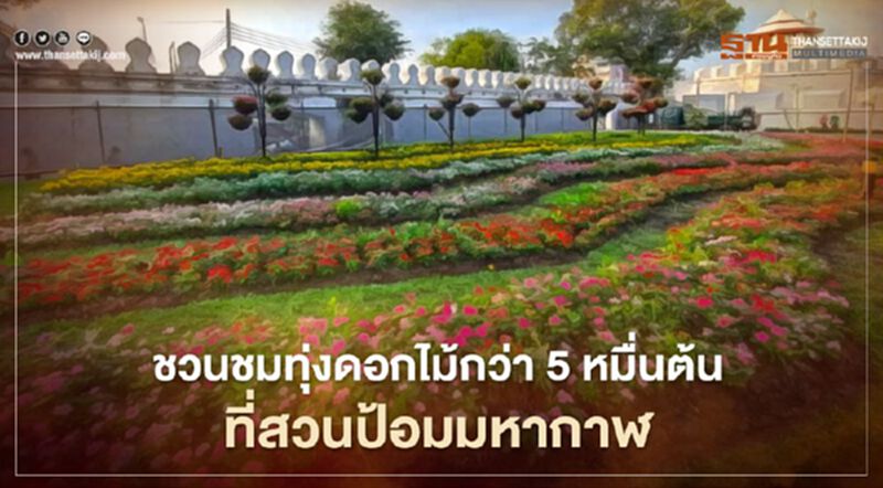 ชวนคนกรุง ชมทุ่งดอกไม้สวนป้อมมหากาฬ ชวนคนกรุง ชมทุ่งดอกไม้สวนป้อมมหากาฬ