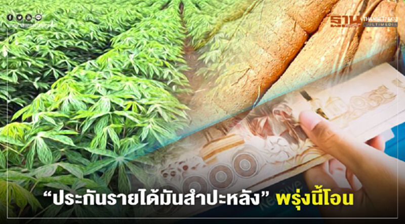 พรุ่งนี้โอน ชาวไร่มันสำปะหลัง เช็กเลย! ธ.ก.ส. จ่าย เงินประกันราคา งวดแรก สูงสุด 26,000 บาท พรุ่งนี้โอน ชาวไร่มันสำปะหลัง เช็กเลย! ธ.ก.ส. จ่าย เงินประกันราคา งวดแรก สูงสุด 26,000 บาท