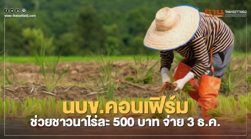 นบข. คอนเฟิร์ม ช่วยชาวนาไร่ละ 500 บาท ธ.ก.ส. โอนจ่าย 3 ธ.ค.