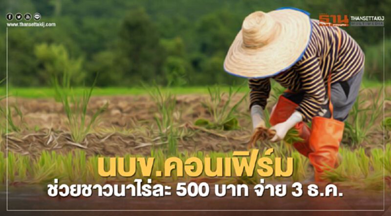 นบข. คอนเฟิร์ม ช่วยชาวนาไร่ละ 500 บาท ธ.ก.ส. โอนจ่าย 3 ธ.ค. นบข. คอนเฟิร์ม ช่วยชาวนาไร่ละ 500 บาท ธ.ก.ส. โอนจ่าย 3 ธ.ค.