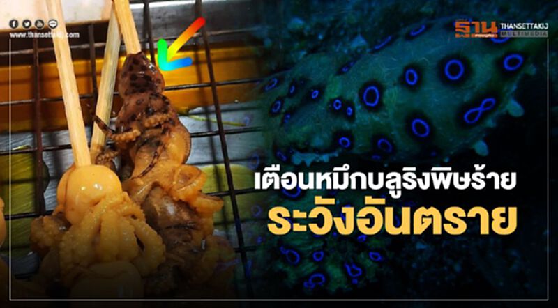 “กรมทรัพยากรทางทะเลและชายฝั่ง”เตือนปลาหมึกบลูริงพิษร้ายระวังอันตราย “กรมทรัพยากรทางทะเลและชายฝั่ง”เตือนปลาหมึกบลูริงพิษร้ายระวังอันตราย