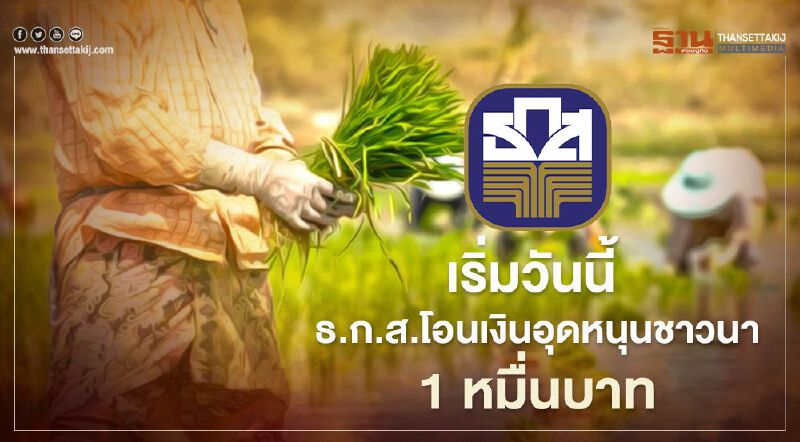 เข้าบัญชีแล้ว! ธ.ก.ส.โอนเงินอุดหนุนชาวนาครัวเรือนละ 1 หมื่นบาทเริ่มวันนี้ 