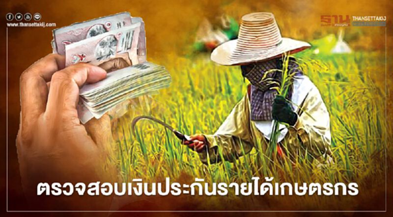 เปิด 3 ขั้นตอนตรวจสอบเงินประกันรายได้ข้าว เปิด 3 ขั้นตอนตรวจสอบเงินประกันรายได้ข้าว