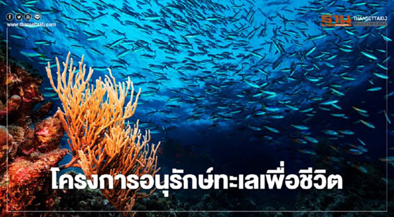 “ปตท.สผ.” ผนึก “กรมทะเล” เดินหน้าโครงการอนุรักษ์ทะเลเพื่อชีวิต “ปตท.สผ.” ผนึก “กรมทะเล” เดินหน้าโครงการอนุรักษ์ทะเลเพื่อชีวิต