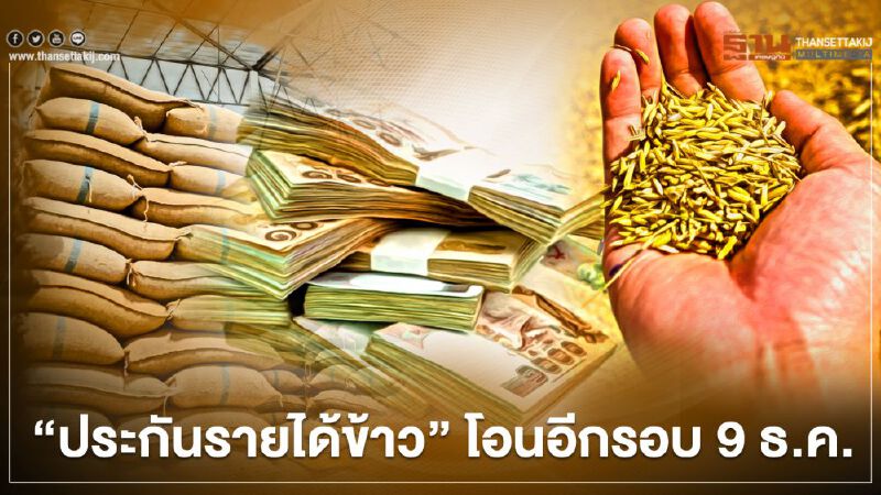 "ประกันรายได้ข้าว" โอนอีกรอบ 9 ธ.ค.นี้