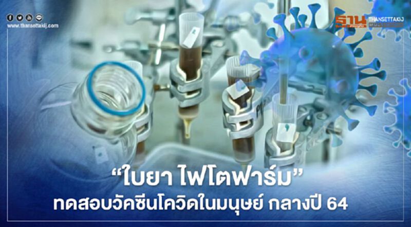 ‘ใบยา ไฟโตฟาร์ม’เจ๋ง เร่งทดสอบวัคซีนโควิดในมนุษย์กลางปี 64 ‘ใบยา ไฟโตฟาร์ม’เจ๋ง เร่งทดสอบวัคซีนโควิดในมนุษย์กลางปี 64