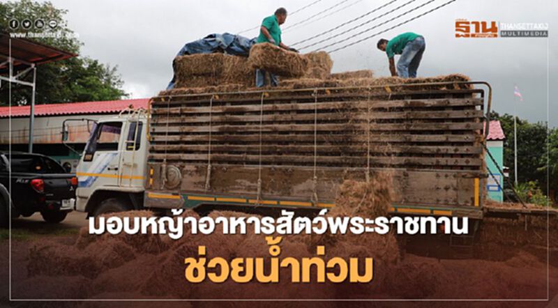 มอบ "หญ้า-อาหารสัตว์พระราชทาน" ช่วยน้ำท่วม มอบ "หญ้า-อาหารสัตว์พระราชทาน" ช่วยน้ำท่วม