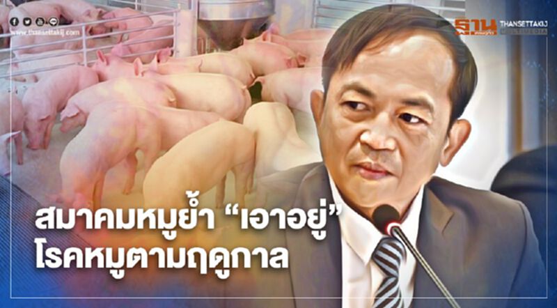สมาคมหมูย้ำ “เอาอยู่” โรคหมูตามฤดูกาล สมาคมหมูย้ำ “เอาอยู่” โรคหมูตามฤดูกาล
