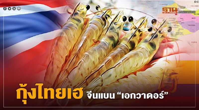 เครือข่ายฯ ผู้เลี้ยงกุ้ง ชงของบ 6 พันล้าน เพิ่มขีดแข่งขัน เครือข่ายฯ ผู้เลี้ยงกุ้ง ชงของบ 6 พันล้าน เพิ่มขีดแข่งขัน