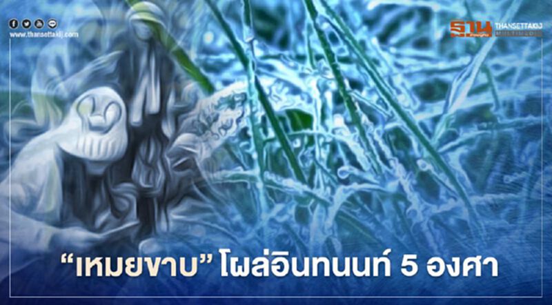 อินทนนท์หนาว 5 องศา น้ำค้างแข็งแรกโผล่แล้ว อินทนนท์หนาว 5 องศา น้ำค้างแข็งแรกโผล่แล้ว