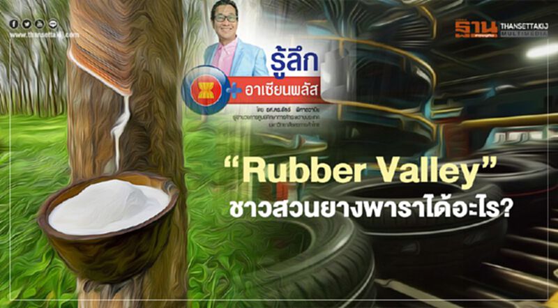 “Rubber Valley” ชาวสวนยางพาราได้อะไร? “Rubber Valley” ชาวสวนยางพาราได้อะไร?