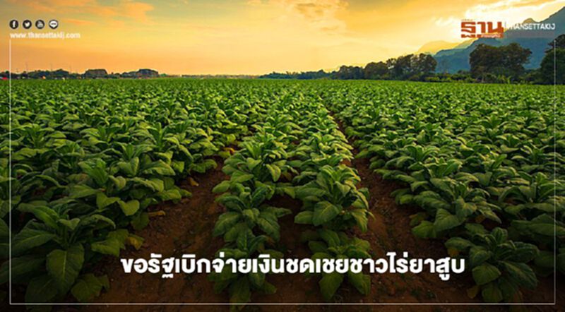 เร่งหารือประธานรัฐสภาขอเบิกจ่ายเงินชดเชยชาวไร่ยาสูบ เร่งหารือประธานรัฐสภาขอเบิกจ่ายเงินชดเชยชาวไร่ยาสูบ