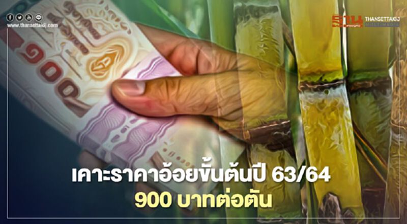 เคาะราคาอ้อยขั้นต้นปี 63/64 900 บาทต่อตัน เคาะราคาอ้อยขั้นต้นปี 63/64 900 บาทต่อตัน