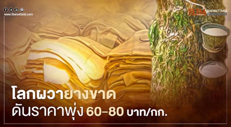โลกผวายางขาด ดันราคาพุ่ง 60-80 บาท/กก. โลกผวายางขาด ดันราคาพุ่ง 60-80 บาท/กก.