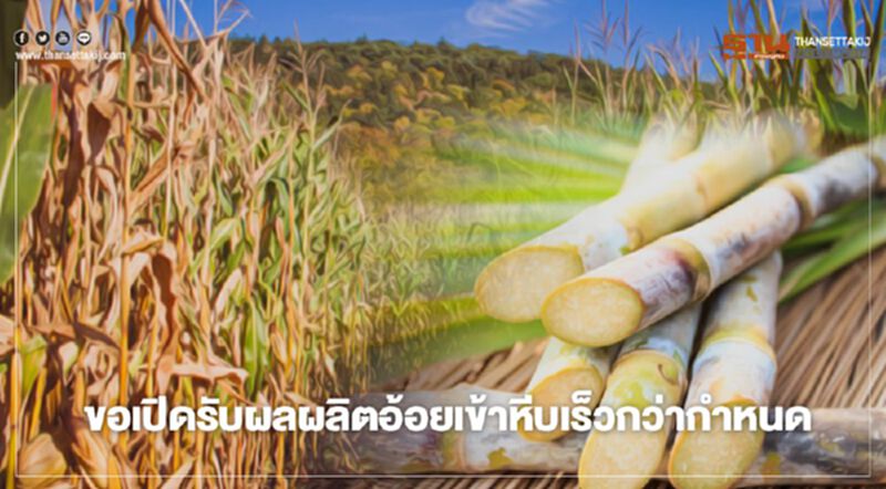 “โรงงานน้ำตาล” ขอ “กอน.” เปิดรับผลผลิตอ้อยเข้าหีบเร็วกว่ากำหนด “โรงงานน้ำตาล” ขอ “กอน.” เปิดรับผลผลิตอ้อยเข้าหีบเร็วกว่ากำหนด