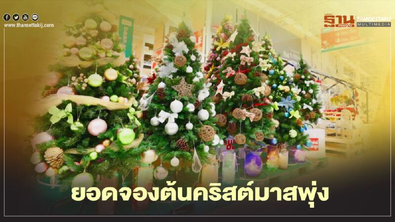 ไทวัสดุ เผยยอดจองต้นคริสต์มาสพุ่ง 30 %  