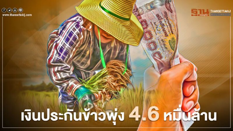 เงินประกันข้าวพุ่ง 4.6 หมื่นล้าน เงินประกันข้าวพุ่ง 4.6 หมื่นล้าน