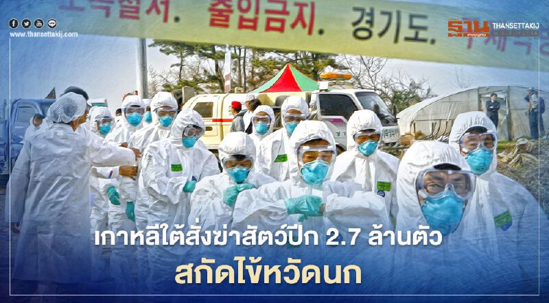 เกาหลีใต้สั่งฆ่าสัตว์ปีก 2.7 ล้านตัว สกัดไข้หวัดนกที่กลับมาอีกแล้ว  