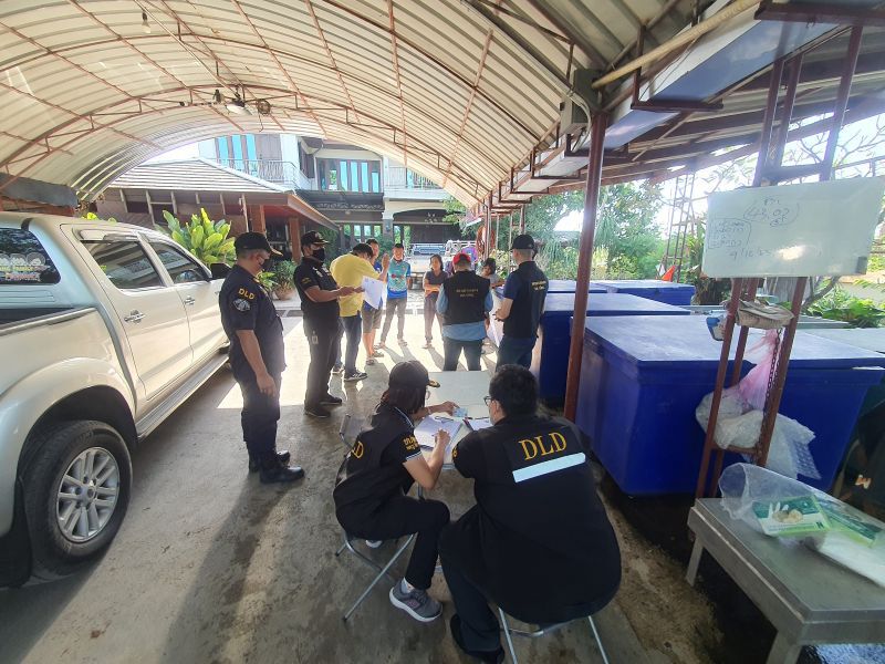 แกะรอย พบต้นตอ “เนื้อวัวปลอม”