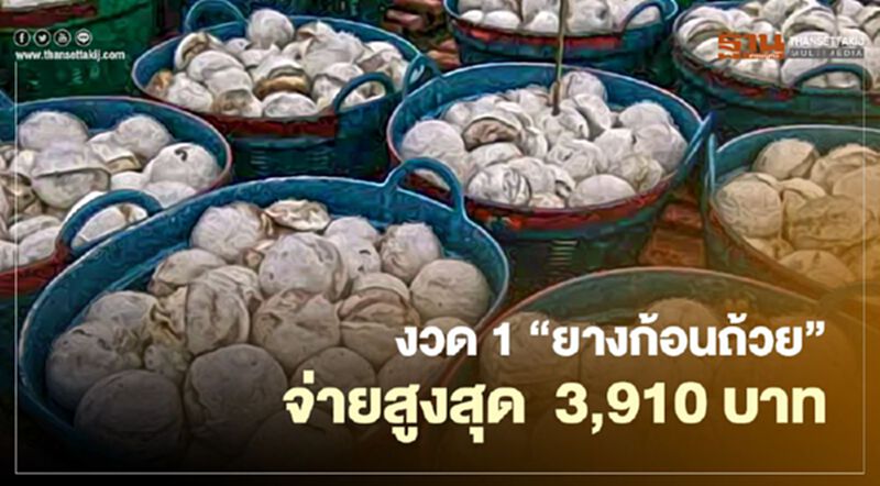 ตรวจสอบเงินประกันรายได้เกษตรกร “ประกันรายได้ยางพารา” งวด1 “ยางก้อนถ้วย” จ่ายสูงสุด 3,910 บาท ตรวจสอบเงินประกันรายได้เกษตรกร “ประกันรายได้ยางพารา” งวด1 “ยางก้อนถ้วย” จ่ายสูงสุด 3,910 บาท