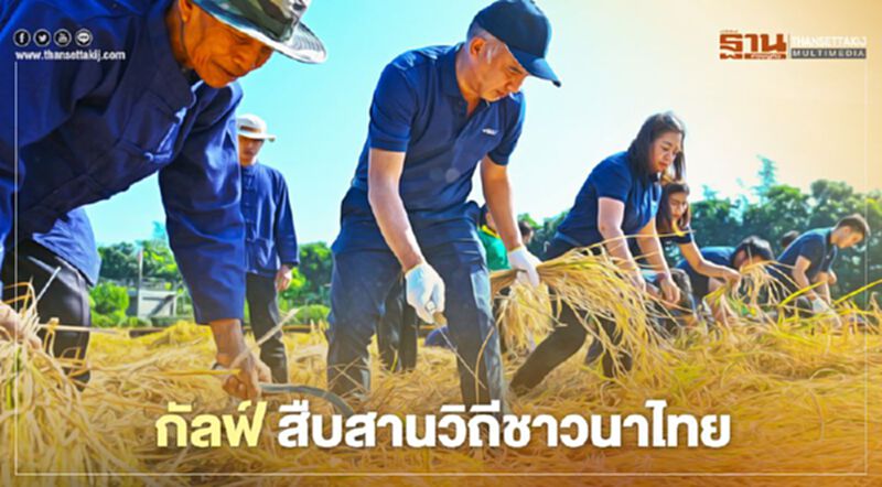 “กัลฟ์” ร่วมสืบสานวิถีชาวนาไทย ร่วมใจลงแขกเกี่ยวข้าว “กัลฟ์” ร่วมสืบสานวิถีชาวนาไทย ร่วมใจลงแขกเกี่ยวข้าว