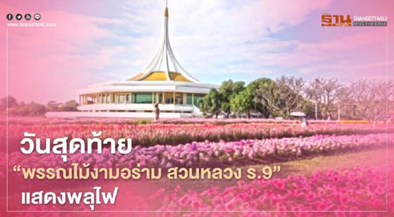 วันสุดท้าย "พรรณไม้งามอร่าม สวนหลวง ร.9" แสดงพลุไฟ ค่าบัตร 10 บาท วันสุดท้าย "พรรณไม้งามอร่าม สวนหลวง ร.9" แสดงพลุไฟ ค่าบัตร 10 บาท