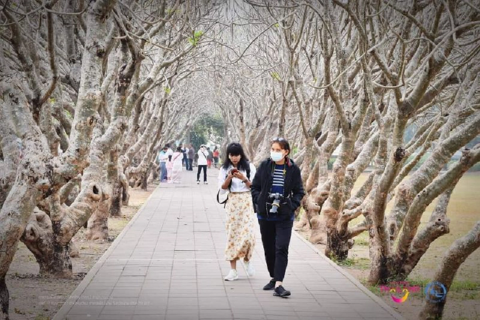 เริ่มแล้ว "วิ่งเติมรัก กระซิบฮักน่าน"