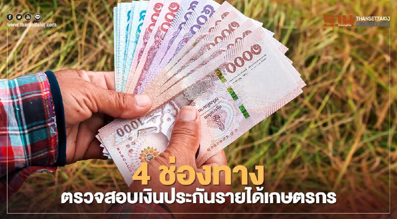 สรุป 4 ช่องทาง ตรวจสอบเงินประกันรายได้เกษตรกรชาวสวนยาง
