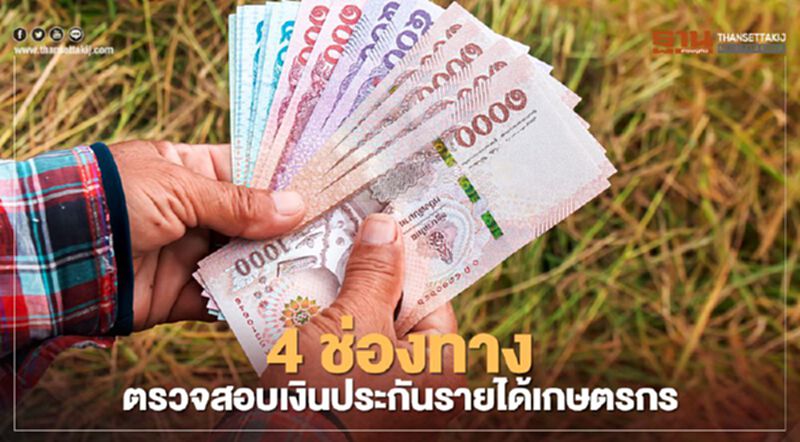 สรุป 4 ช่องทาง ตรวจสอบเงินประกันรายได้เกษตรกรชาวสวนยาง สรุป 4 ช่องทาง ตรวจสอบเงินประกันรายได้เกษตรกรชาวสวนยาง