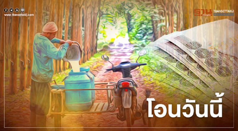โอนวันนี้เงินส่วนต่างประกันราคายาง ทั้งบัตรเขียว-บัตรสีชมพู โอนวันนี้เงินส่วนต่างประกันราคายาง ทั้งบัตรเขียว-บัตรสีชมพู