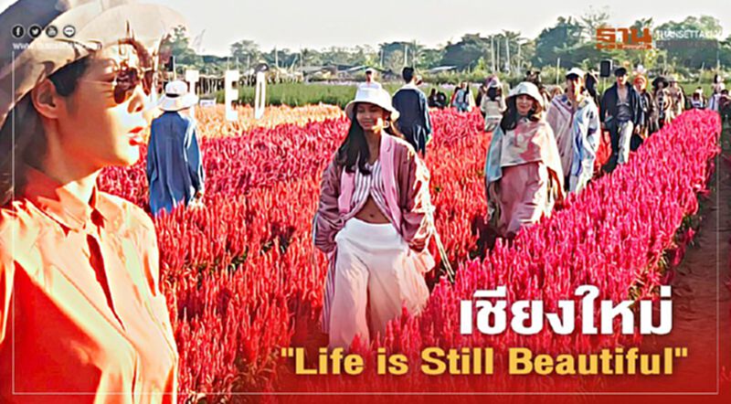 เชียงใหม่ "Life is Still Beautiful" เชียงใหม่ "Life is Still Beautiful"