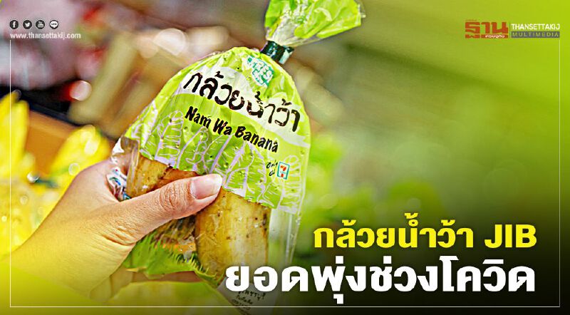 กล้วยน้ำว้า JIB ยอดพุ่งช่วงโควิด ส่งขายร้าน 7-11 เกษตรกรมีรายได้ ชุมชนไม่ตกงาน กล้วยน้ำว้า JIB ยอดพุ่งช่วงโควิด ส่งขายร้าน 7-11 เกษตรกรมีรายได้ ชุมชนไม่ตกงาน