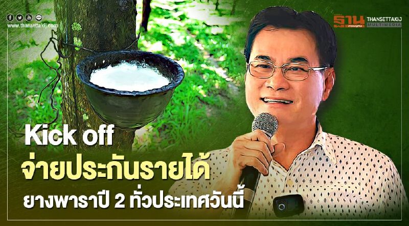 Kick off จ่ายประกันรายได้  ยางพาราปี2ทั่วประเทศวันนี้