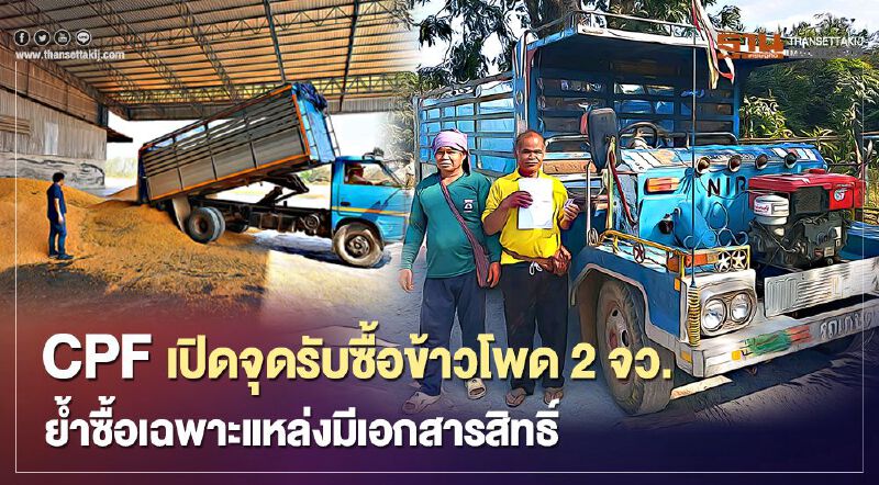 CPF เปิดจุดรับซื้อข้าวโพด 2 จังหวัด ย้ำรับซื้อเฉพาะจากแหล่งมีเอกสารสิทธิ์