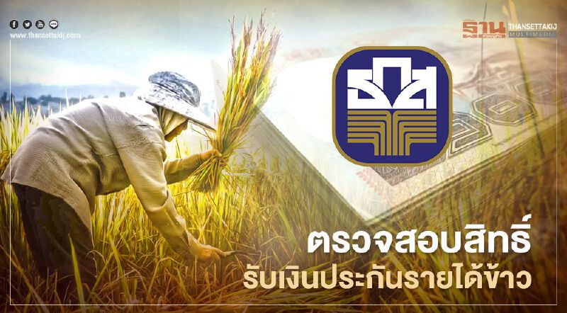 วิธีตรวจสอบสิทธิ์ รับเงินประกันรายได้ข้าวจากธ.ก.ส.